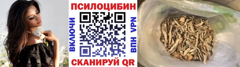 купить  сайты  маркетплейс как зайти  OMG зеркало  Галлюциногенные грибы ЛСД  Среднеколымск 